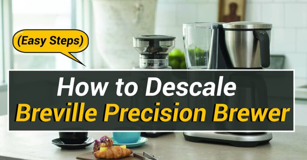How to Descale Breville Precision Brewer
