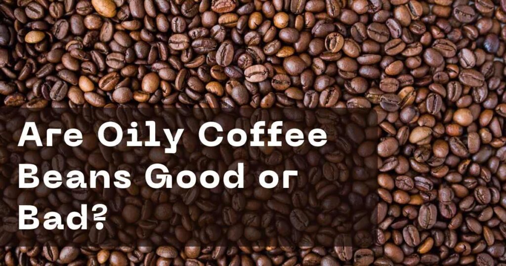 Are Oily Coffee Beans Good or Bad?